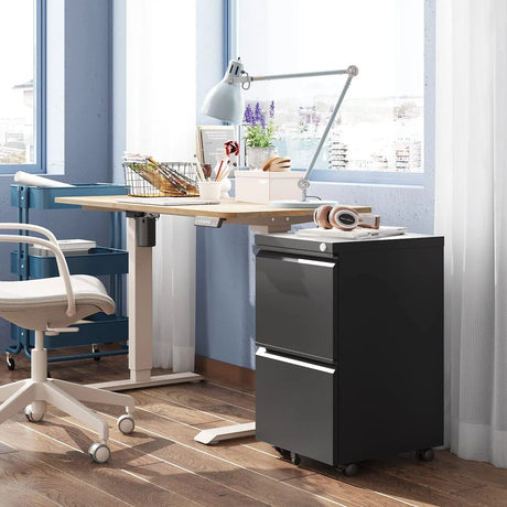 2-Drawer Mobile File Cabinet with Lock, Vertical Filing Cabinet, Black