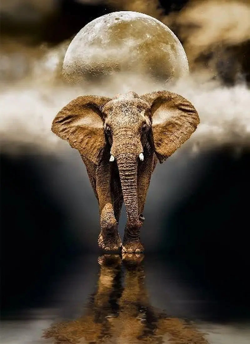 39416 -39416 Collection-The Elephant-1000 Pieces, Various