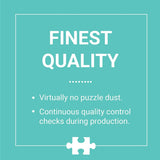 1000 Piece United States Jigsaw Puzzle for Adults and Families, USA Family Puzzle with Vibrant Illustrations of the Attributes of the 50 States, One Size (9780735353244)